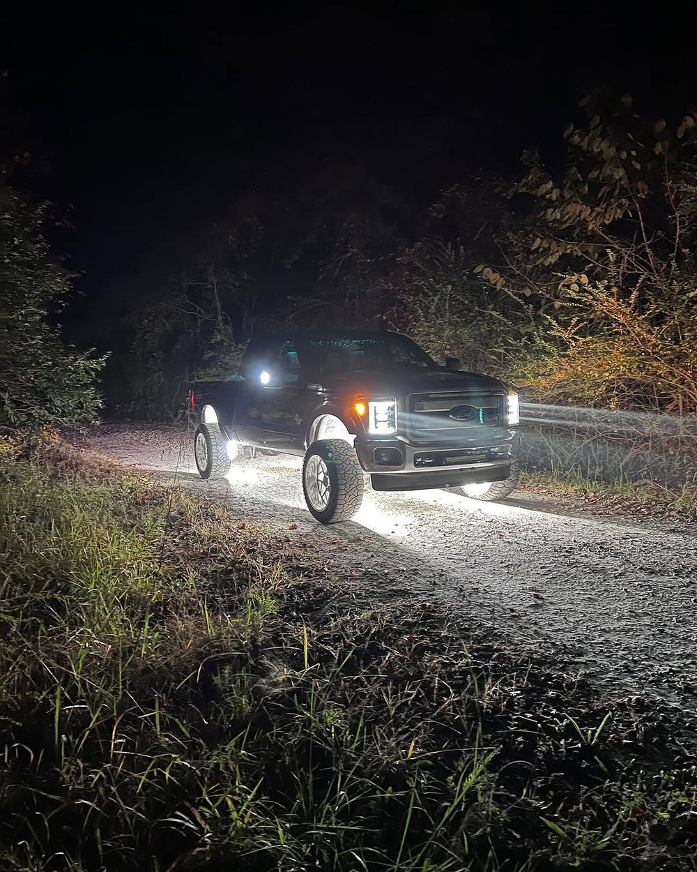 Pure White Standard Intensity Wheel Lights