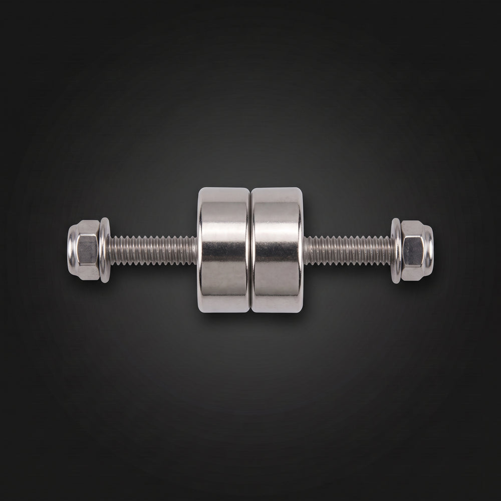 Rock Light Magnetic Mounts